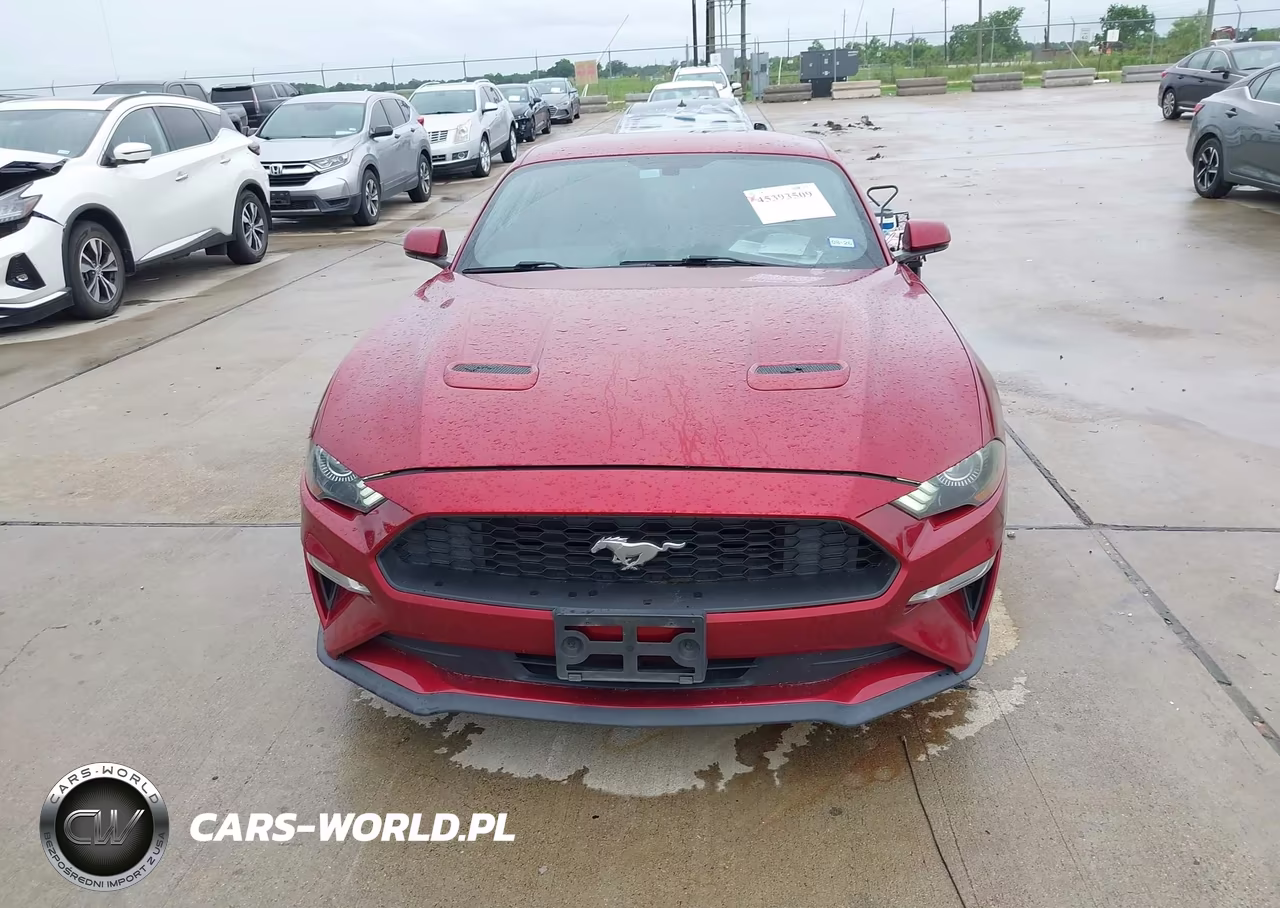 2019 Ford Mustang Ecoboost Premium VIN:1FA6P8TH1K5174953 - 12