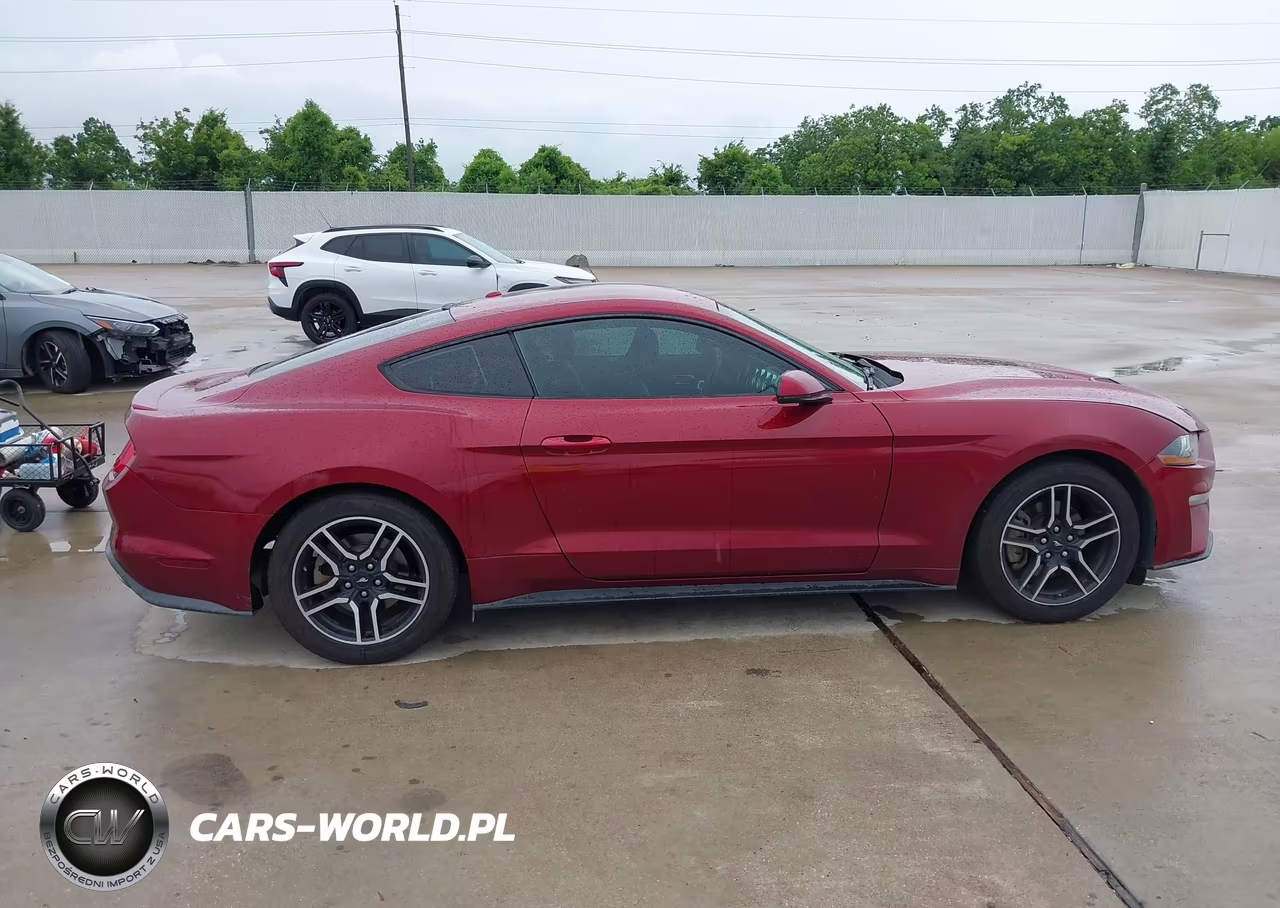 2019 Ford Mustang Ecoboost Premium VIN:1FA6P8TH1K5174953 - 13