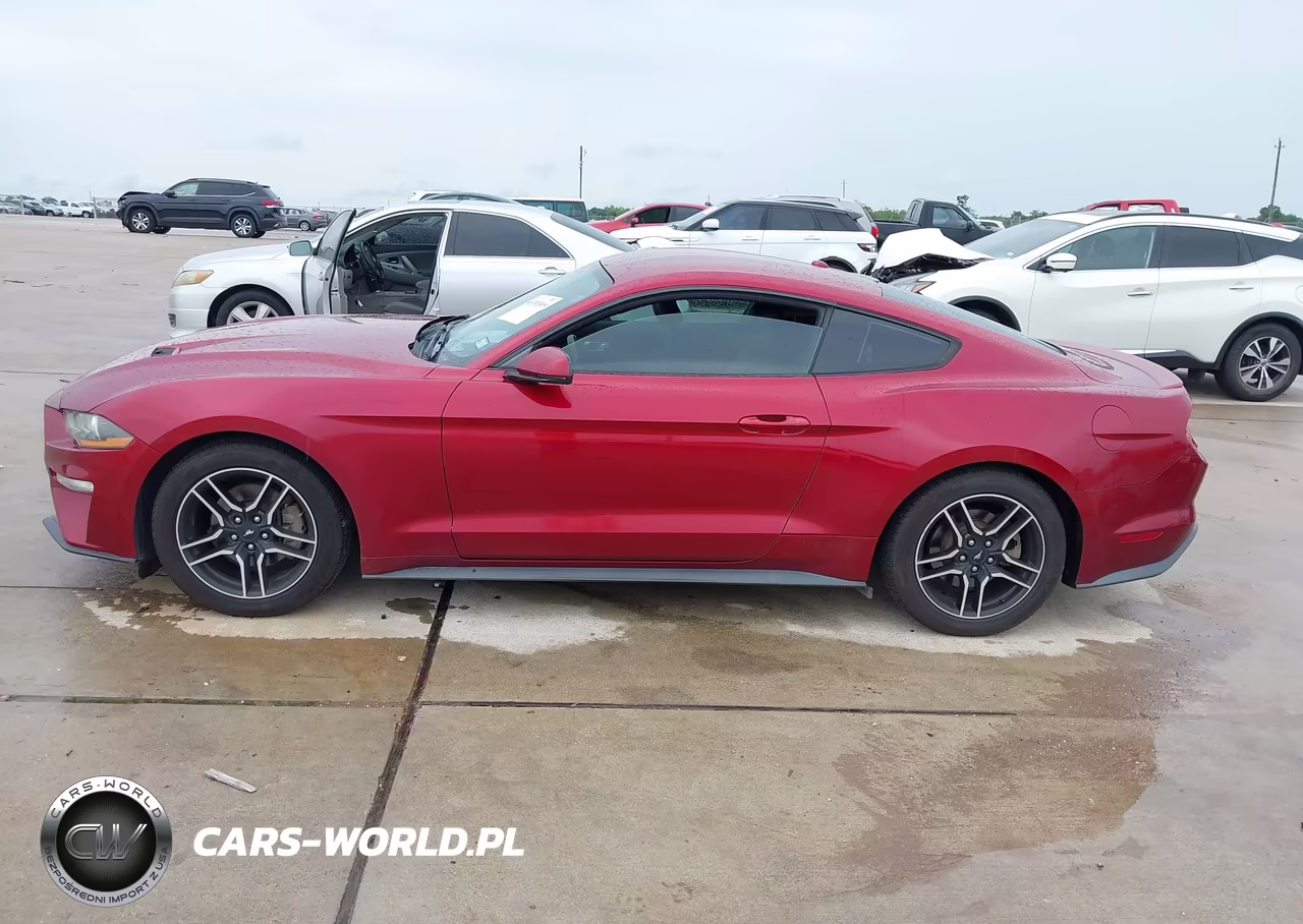2019 Ford Mustang Ecoboost Premium VIN:1FA6P8TH1K5174953 - 14