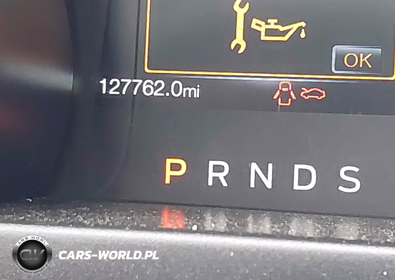 2019 Ford Mustang Ecoboost Premium VIN:1FA6P8TH1K5174953 - 15