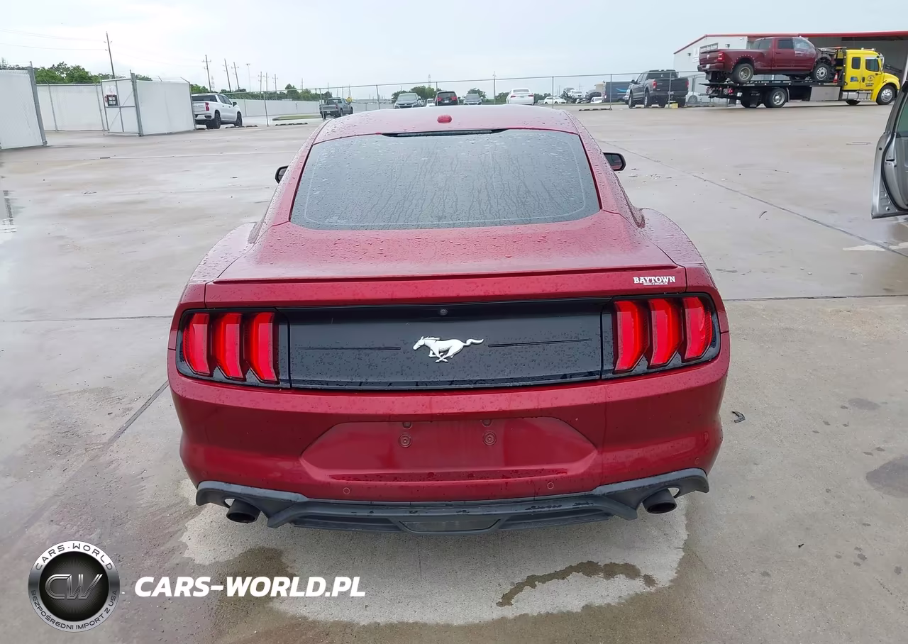 2019 Ford Mustang Ecoboost Premium VIN:1FA6P8TH1K5174953 - 16