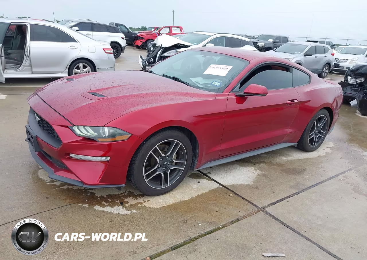 2019 Ford Mustang Ecoboost Premium VIN:1FA6P8TH1K5174953 - 2
