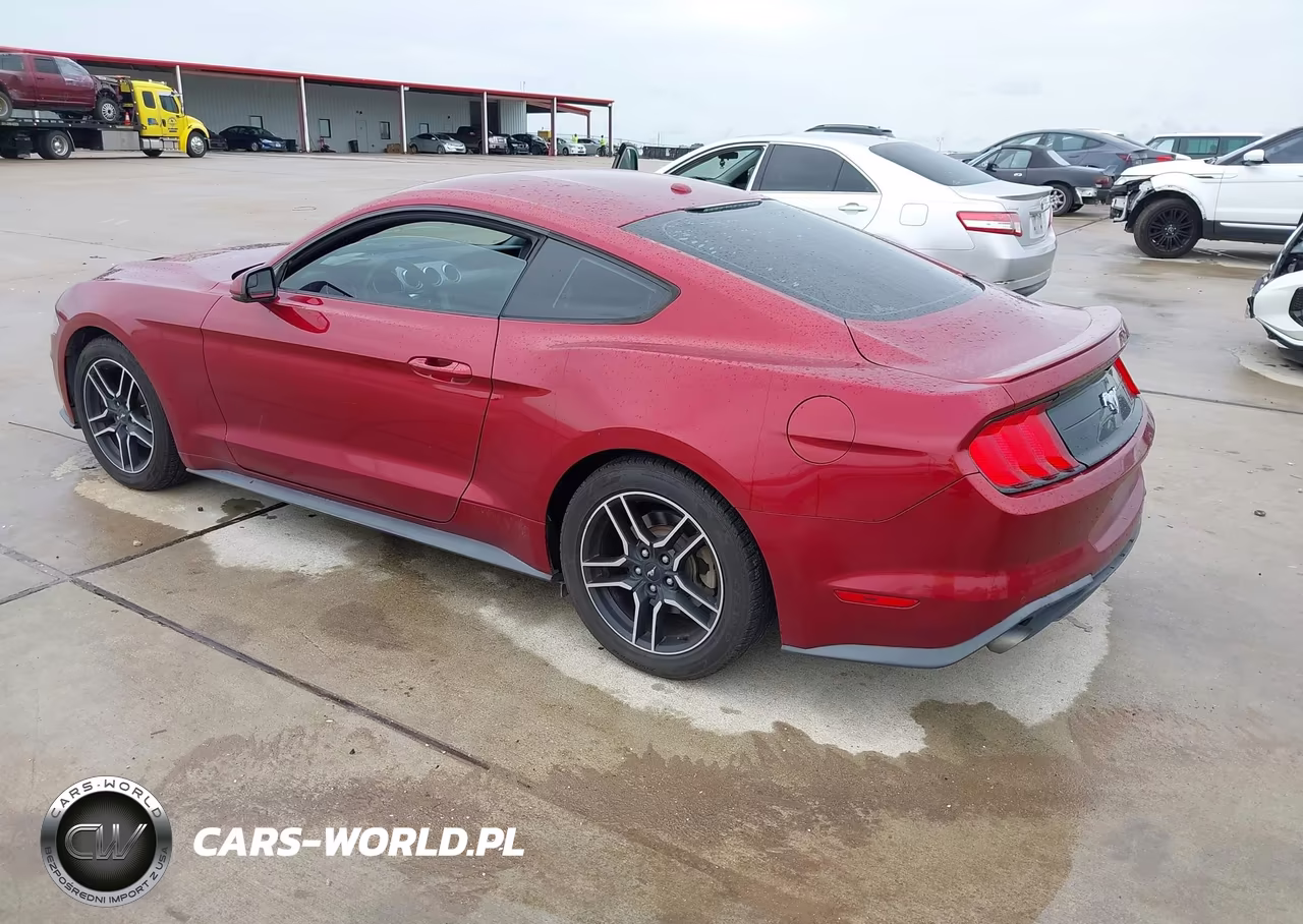 2019 Ford Mustang Ecoboost Premium VIN:1FA6P8TH1K5174953 - 3
