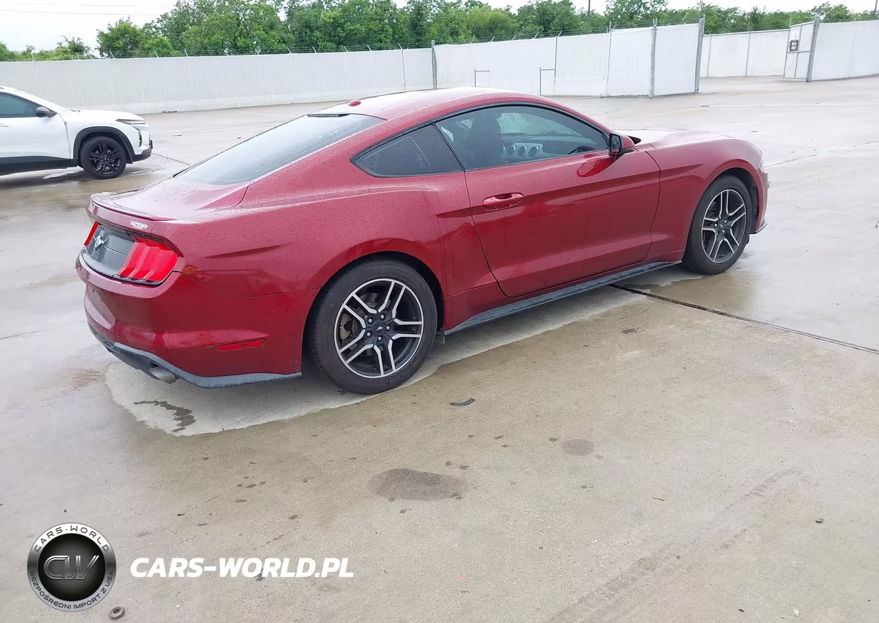 2019 Ford Mustang Ecoboost Premium VIN:1FA6P8TH1K5174953 - 4