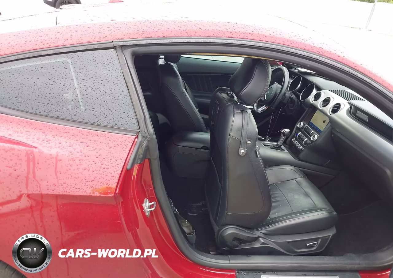 2019 Ford Mustang Ecoboost Premium VIN:1FA6P8TH1K5174953 - 5