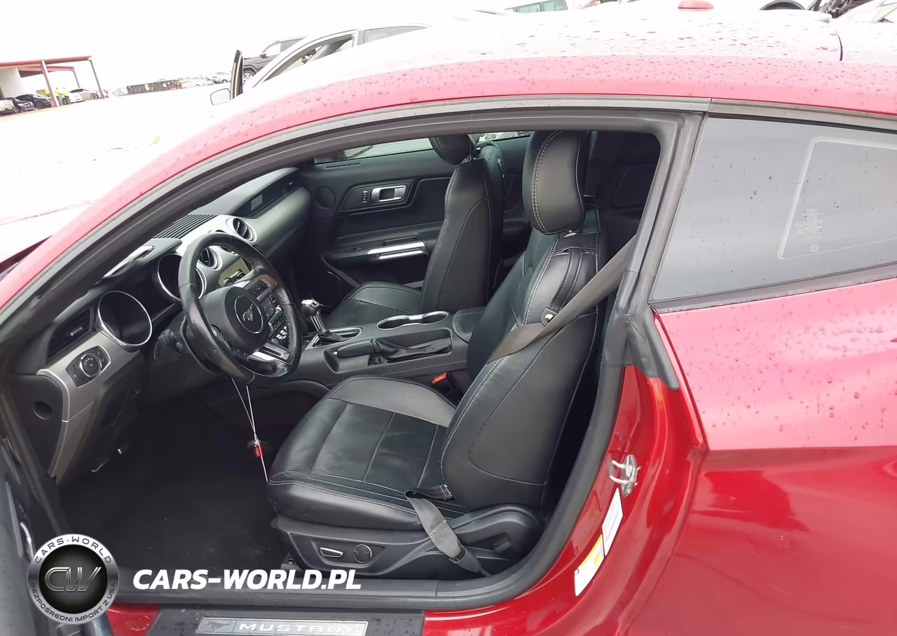 2019 Ford Mustang Ecoboost Premium VIN:1FA6P8TH1K5174953 - 8