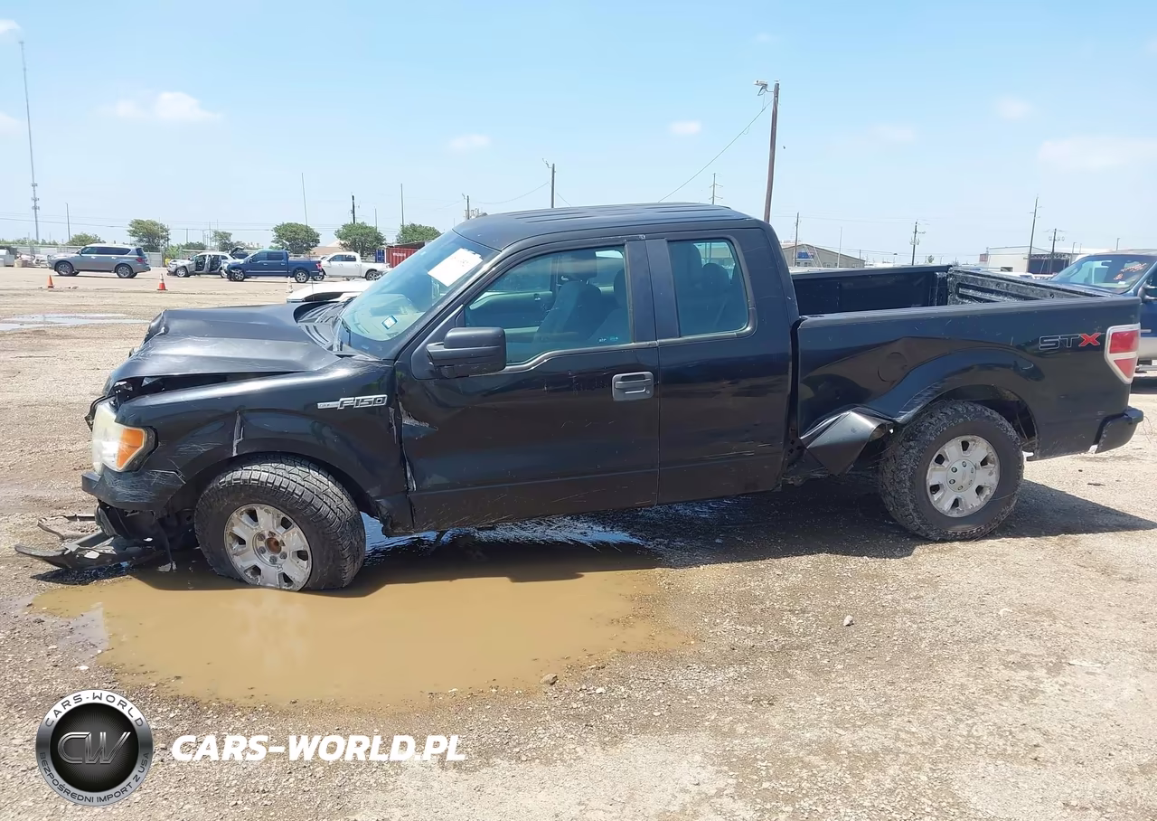 2012 Ford F-150 Stx-Xl-Xlt VIN:1FTEX1CM5CKD94609 - 15