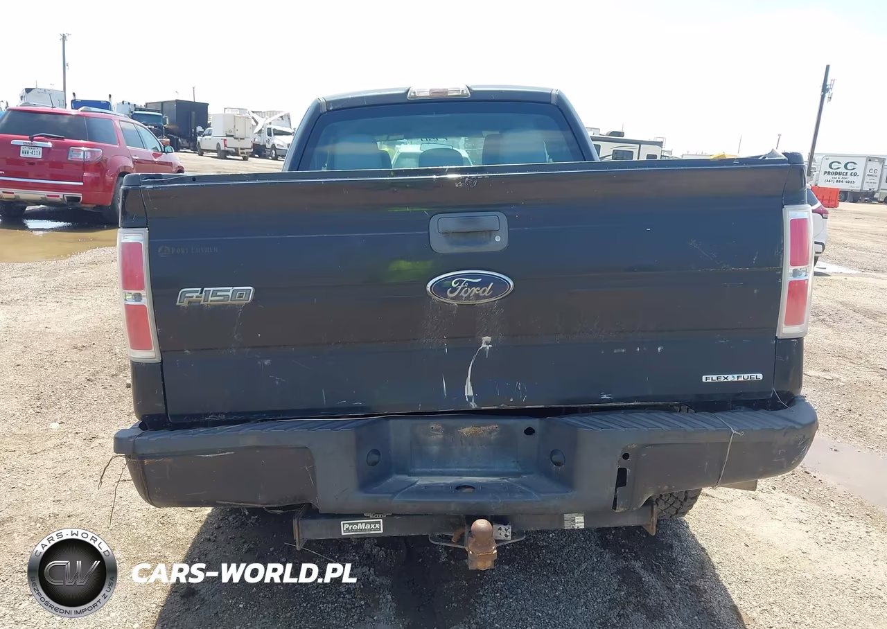 2012 Ford F-150 Stx-Xl-Xlt VIN:1FTEX1CM5CKD94609 - 17
