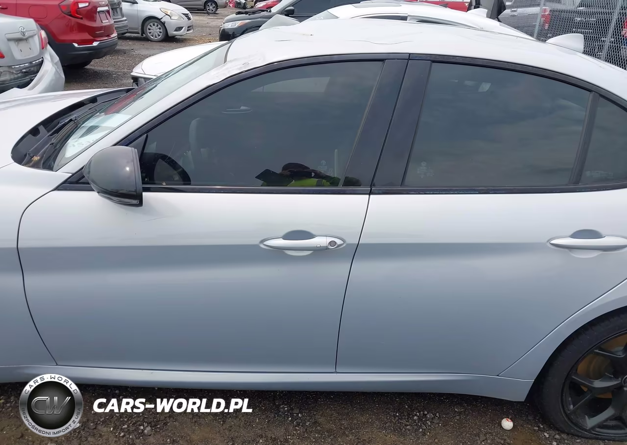 2020 Alfa Romeo Giulia Rwd VIN:ZARFAMANXL7638802 - 14