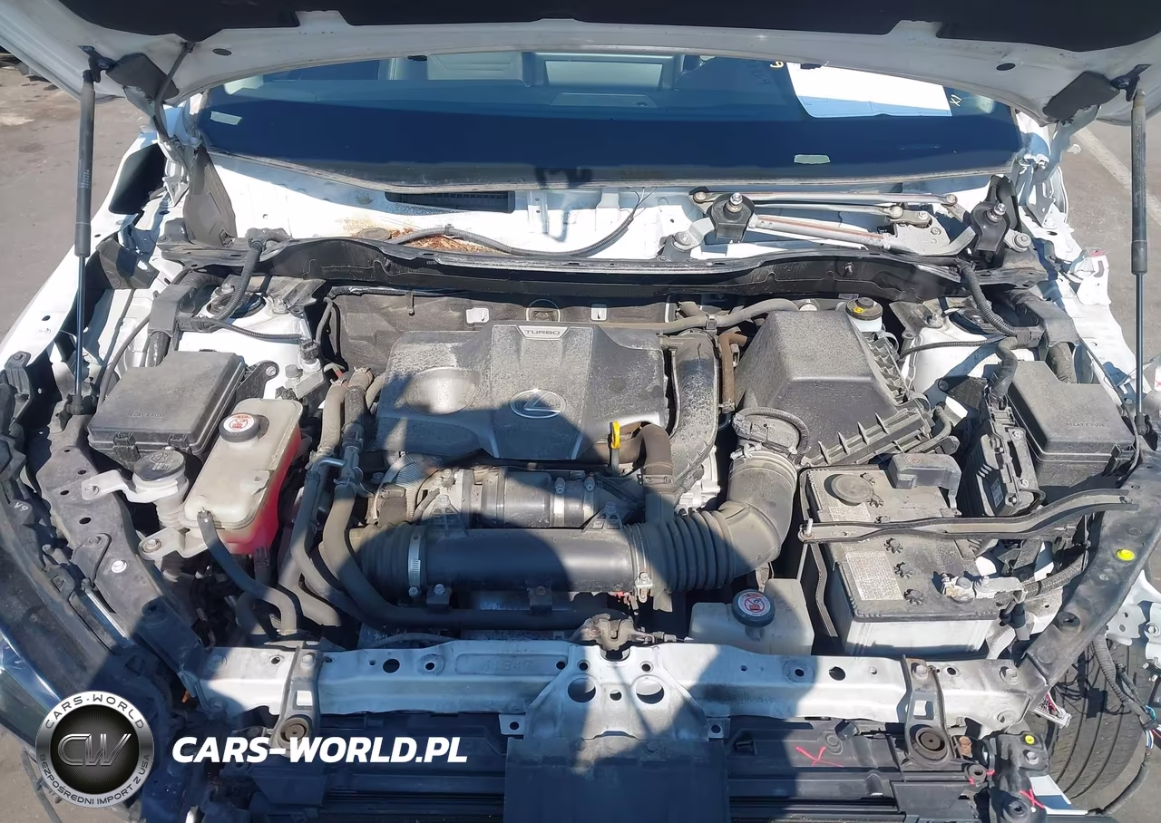 2020 Lexus Nx 300 VIN:JTJHARDZ7L5018125 - 10