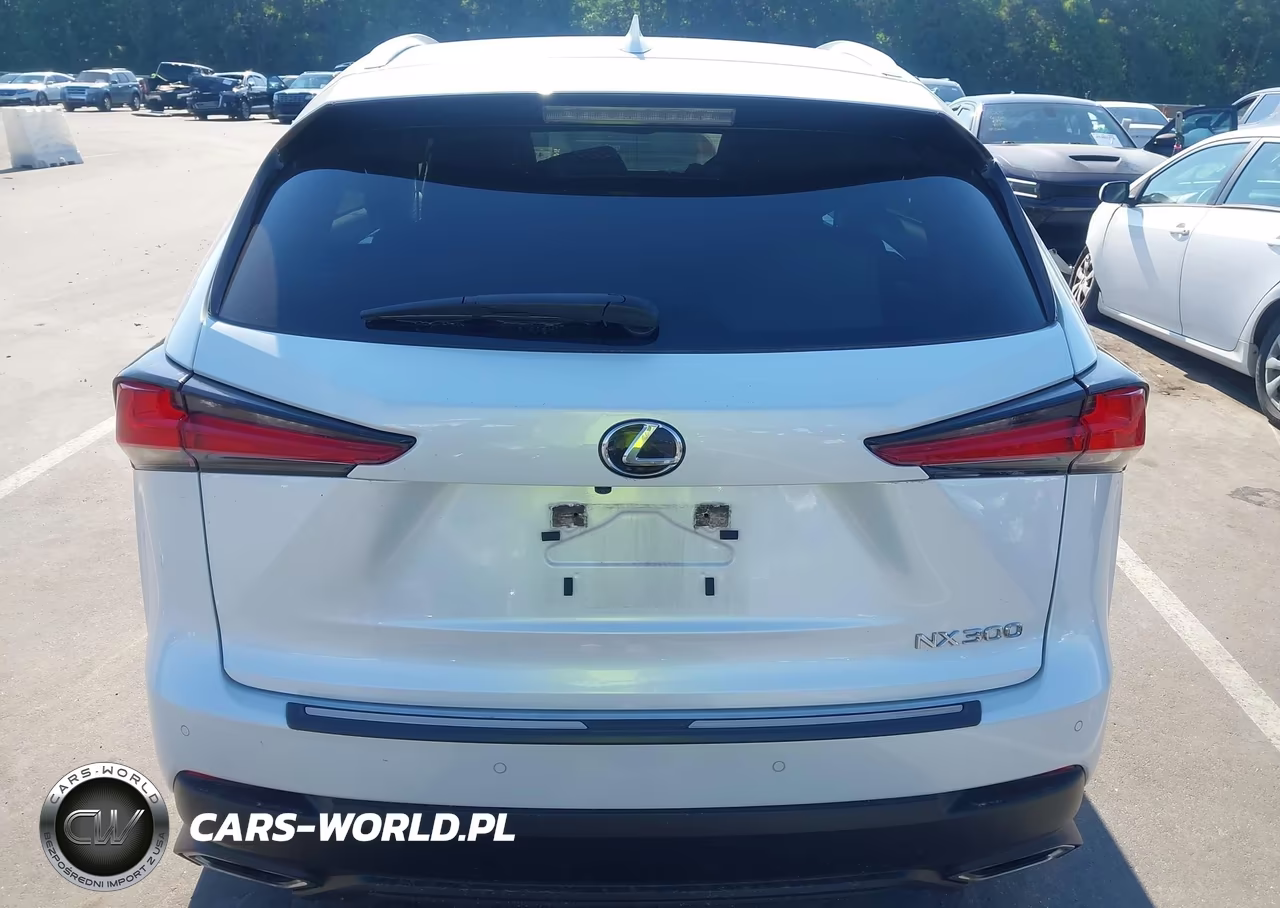 2020 Lexus Nx 300 VIN:JTJHARDZ7L5018125 - 17