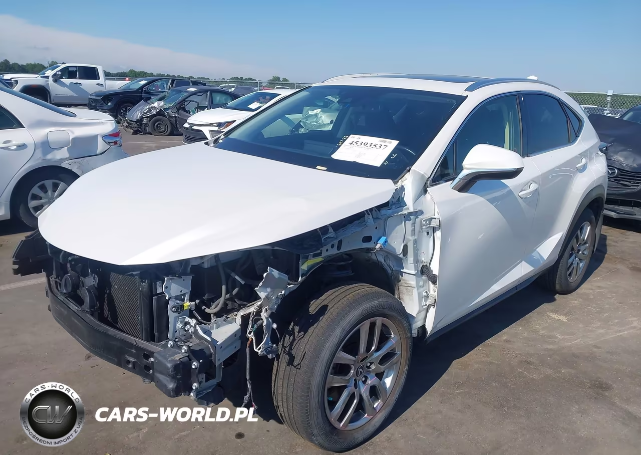 2020 Lexus Nx 300 VIN:JTJHARDZ7L5018125 - 2