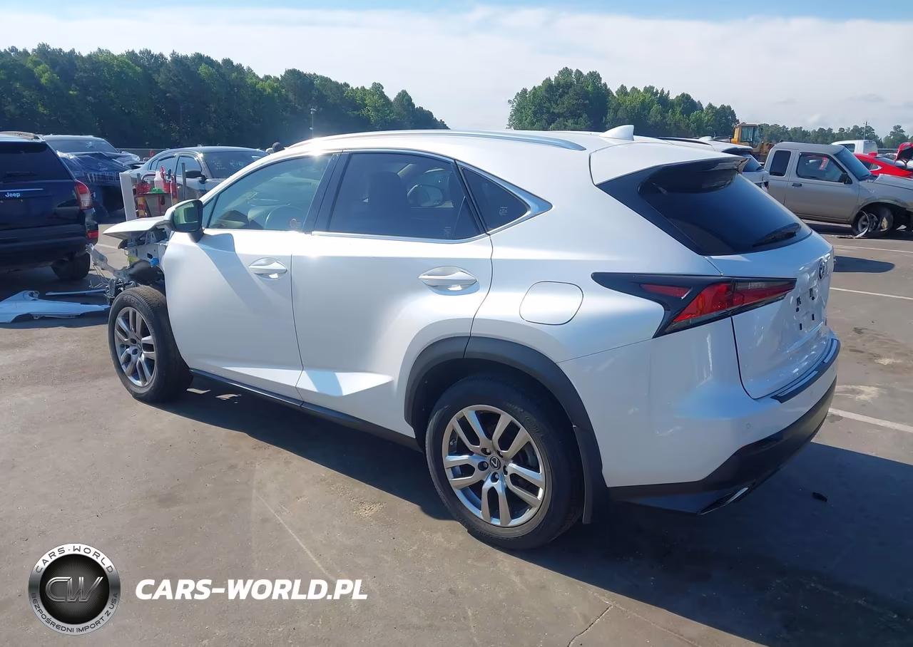 2020 Lexus Nx 300 VIN:JTJHARDZ7L5018125 - 3