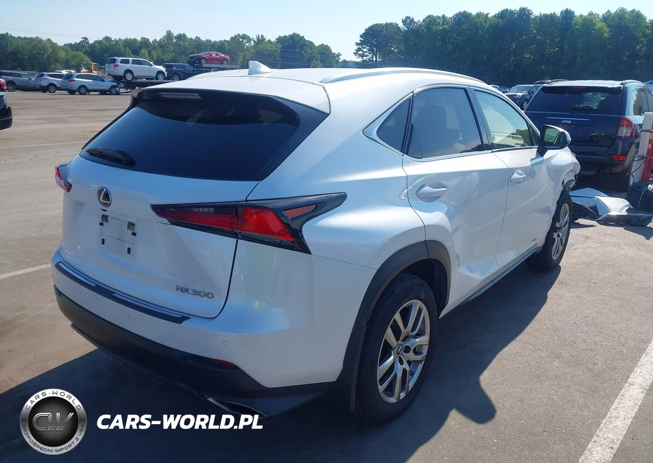2020 Lexus Nx 300 VIN:JTJHARDZ7L5018125 - 4