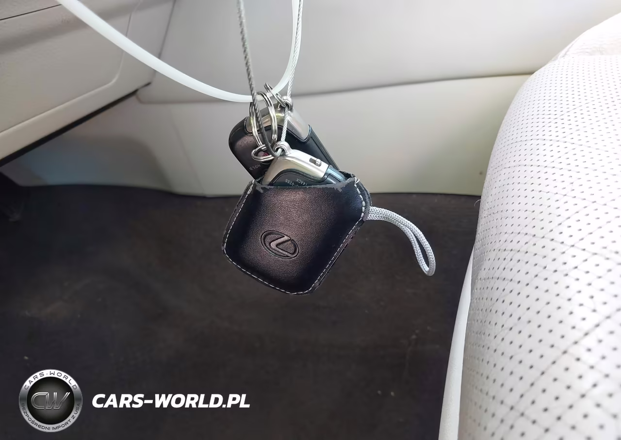 2019 Lexus Gx 460 Premium VIN:JTJBM7FX3K5212890 - 10