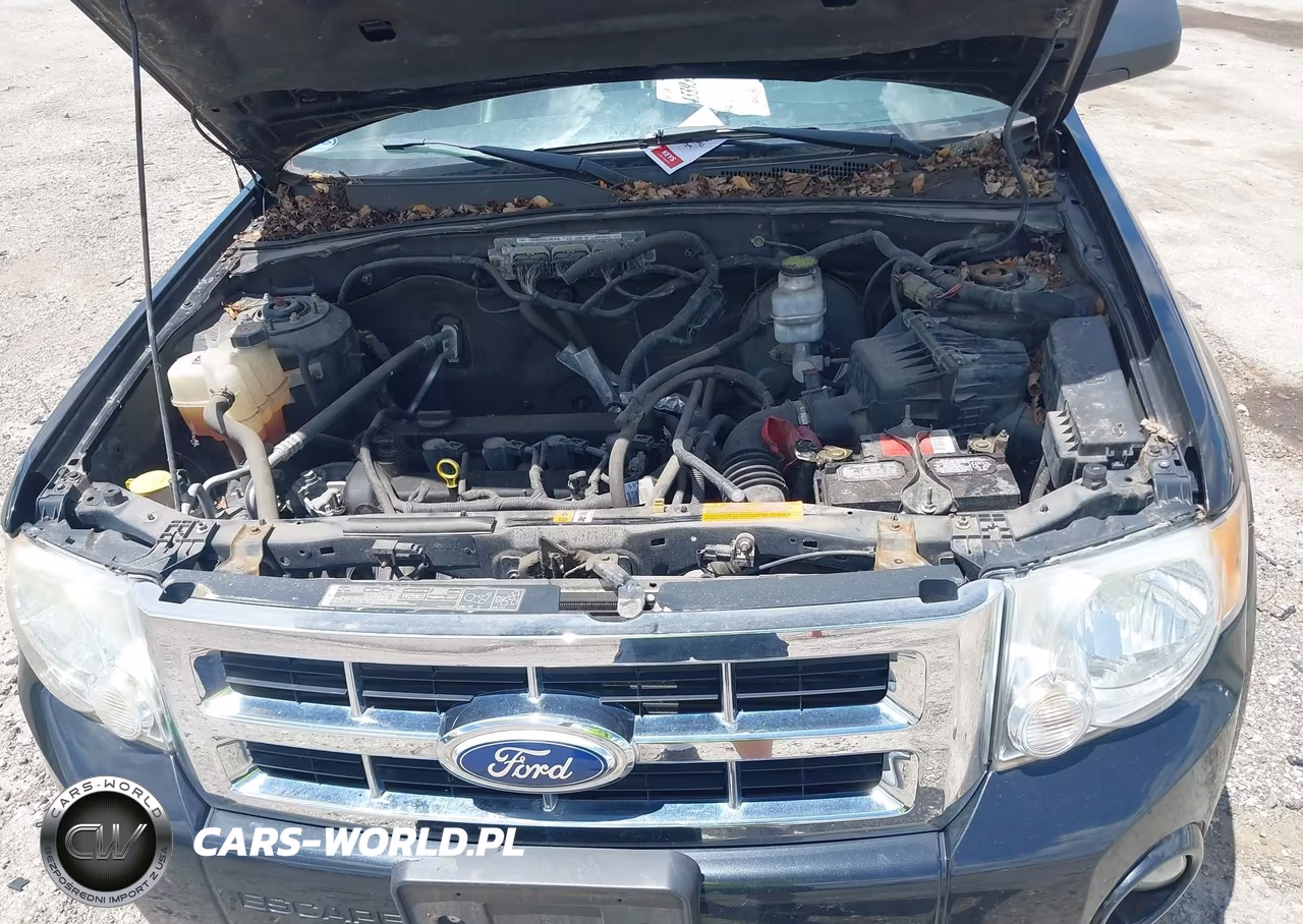2011 Ford Escape Xlt VIN:1FMCU0D72BKB51594 - 10