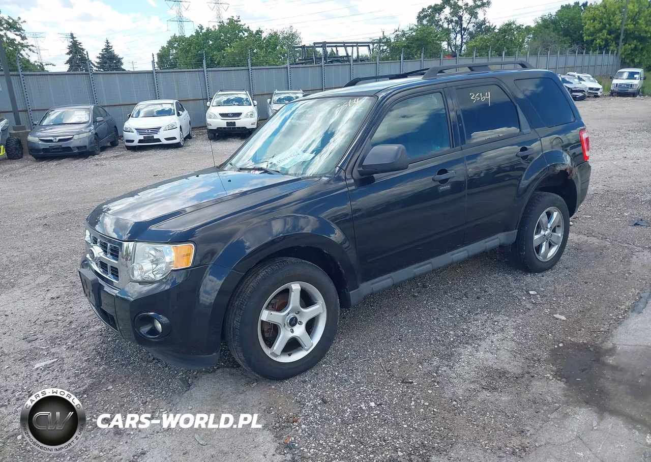2011 Ford Escape Xlt VIN:1FMCU0D72BKB51594 - 2