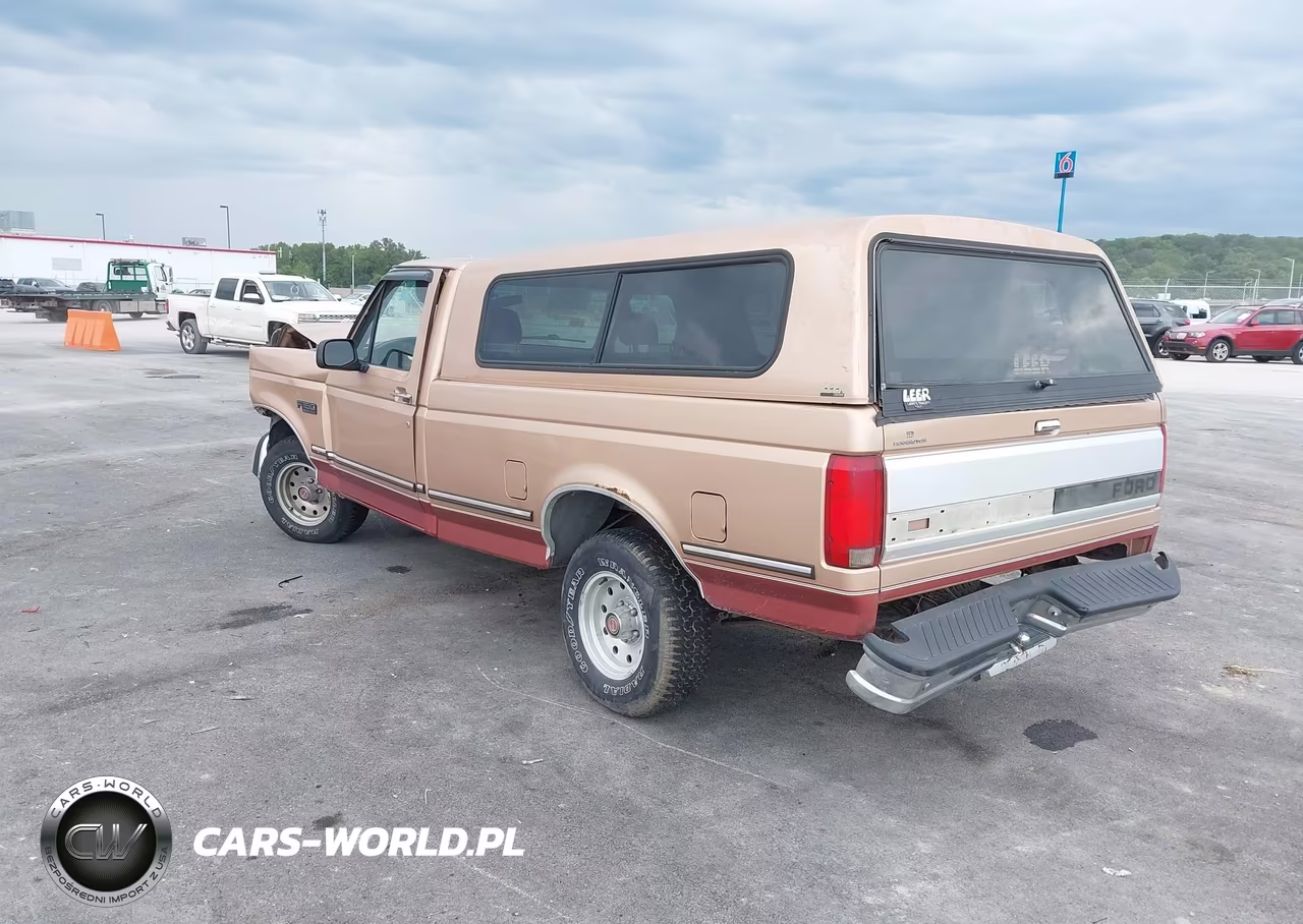 1994 Ford F150 VIN:1FTEF15N8RNA23721 - 3