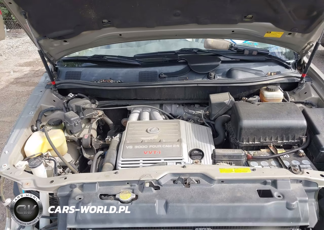 2003 Lexus Rx 300 VIN:JTJHF10U230294013 - 10