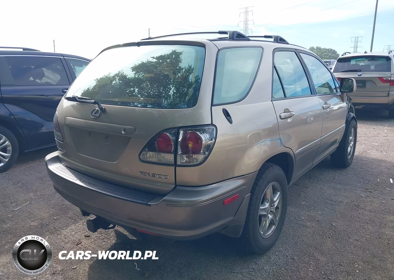 2003 Lexus Rx 300 VIN:JTJHF10U230294013 - 4