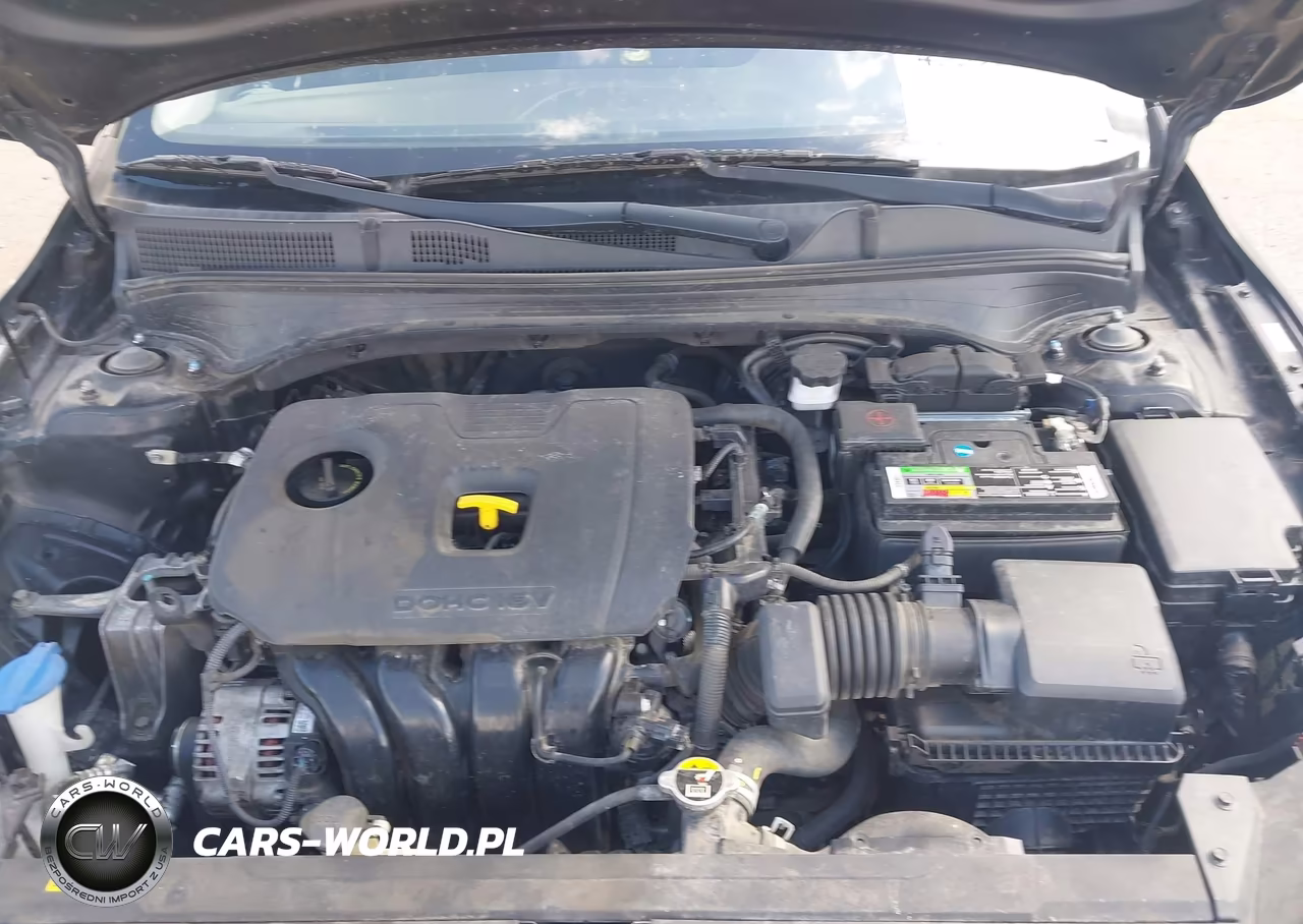 2019 Kia Forte Fe VIN:3KPF24AD9KE062696 - 10