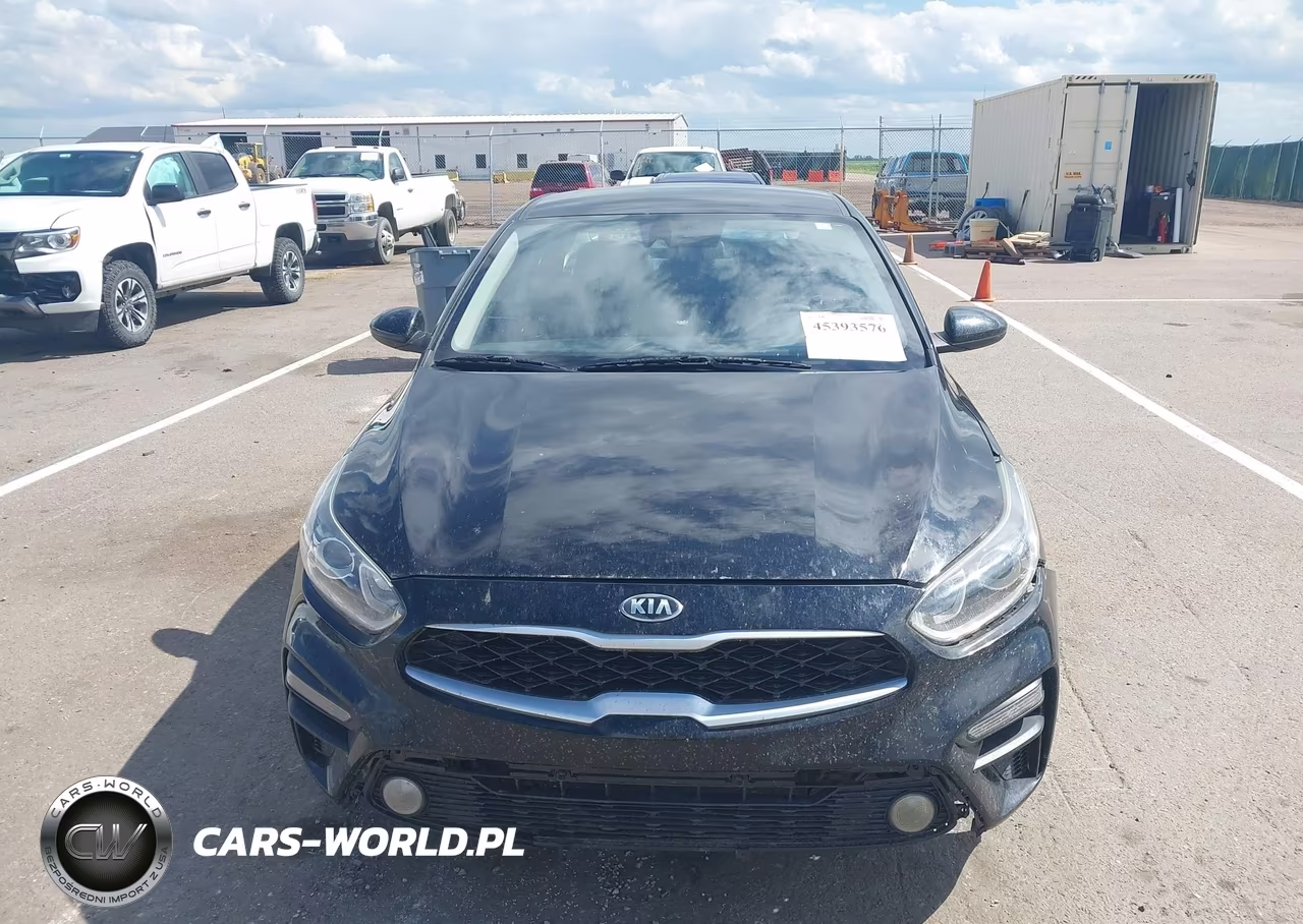2019 Kia Forte Fe VIN:3KPF24AD9KE062696 - 12