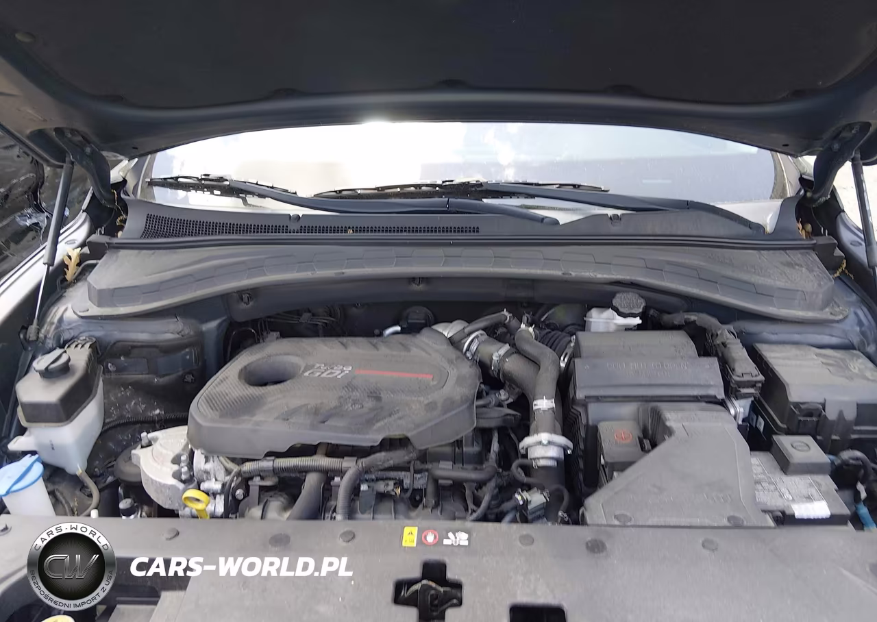 2019 Hyundai Santa Fe Limited 2.0T VIN:5NMS5CAA1KH106480 - 10
