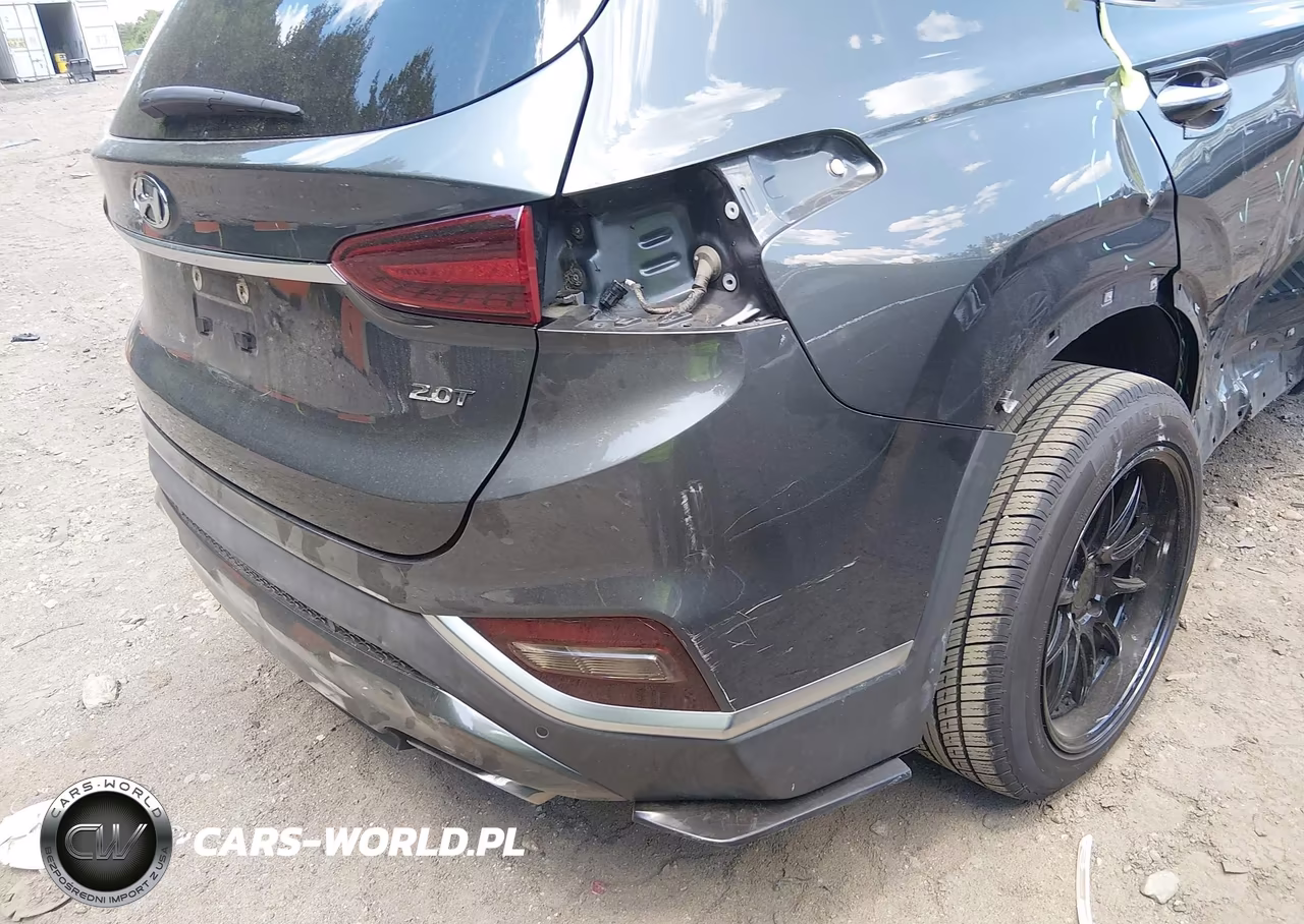 2019 Hyundai Santa Fe Limited 2.0T VIN:5NMS5CAA1KH106480 - 12