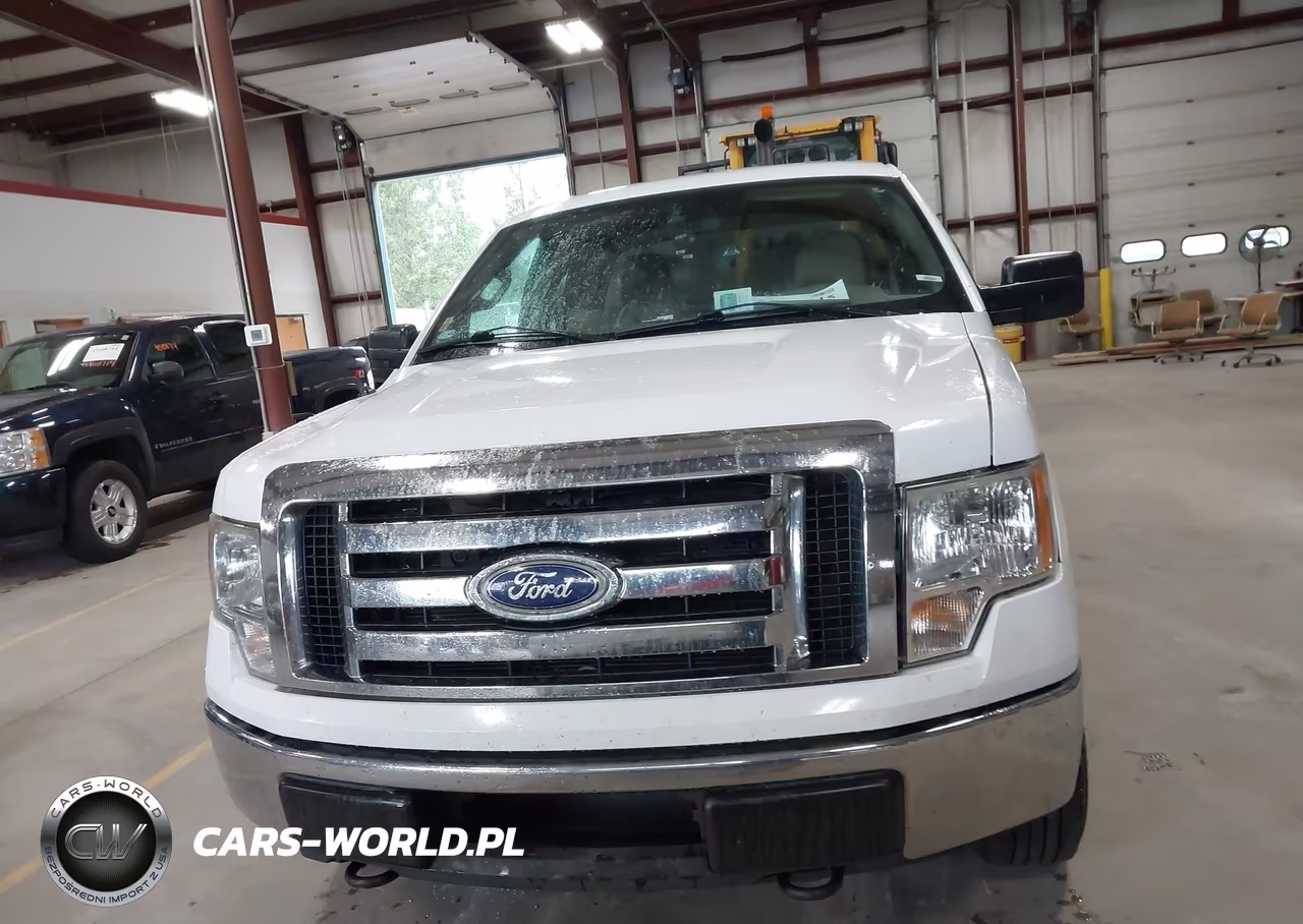 2010 Ford F-150 Stx-Xl-Xlt VIN:1FTEX1E83AKE78103 - 11
