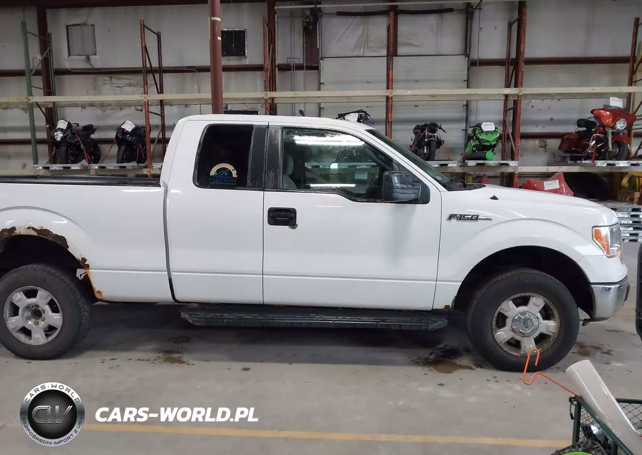 2010 Ford F-150 Stx-Xl-Xlt VIN:1FTEX1E83AKE78103 - 12