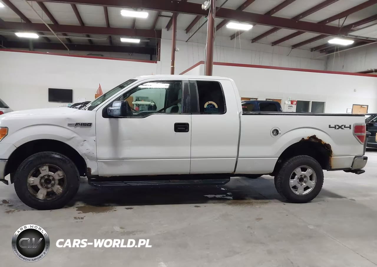 2010 Ford F-150 Stx-Xl-Xlt VIN:1FTEX1E83AKE78103 - 13