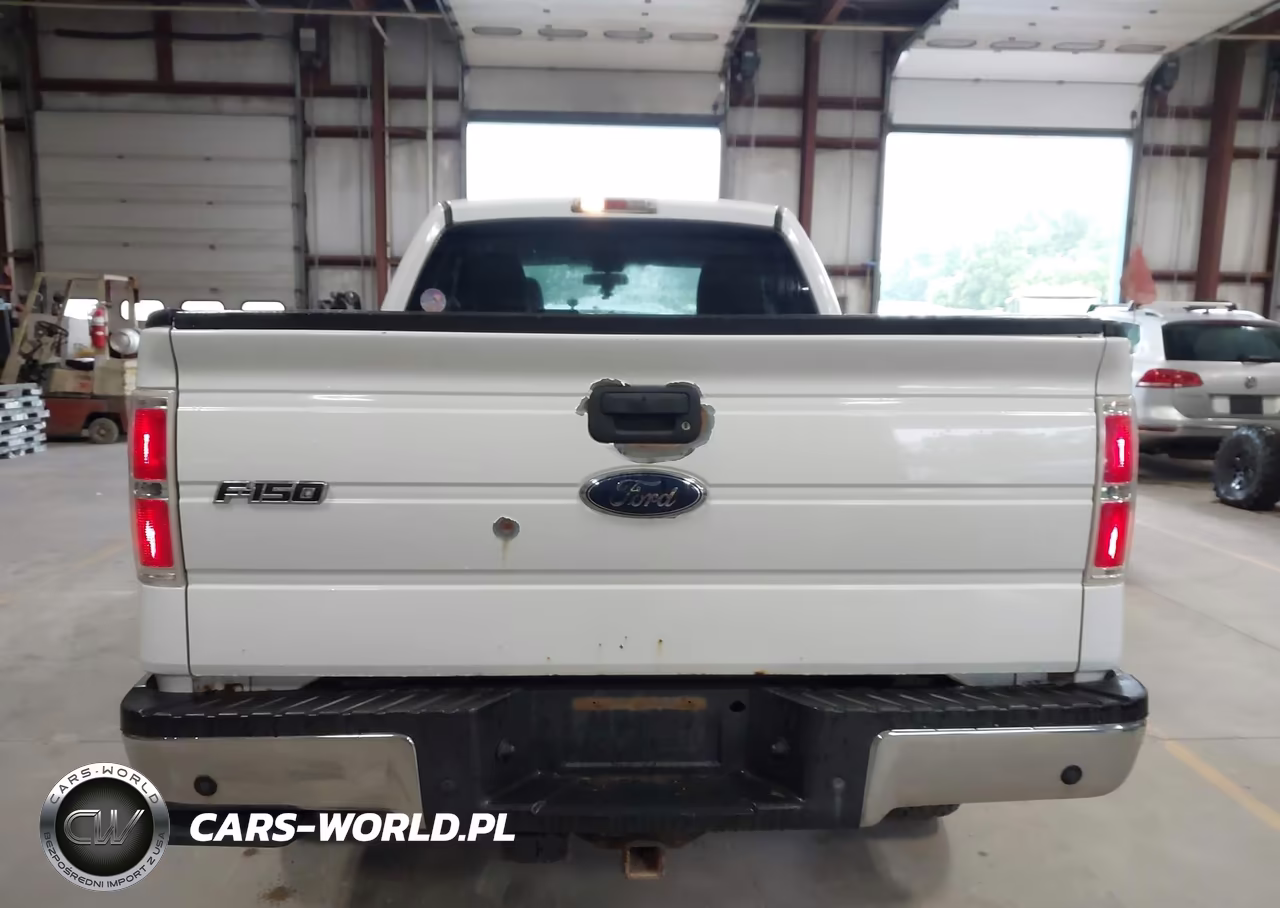 2010 Ford F-150 Stx-Xl-Xlt VIN:1FTEX1E83AKE78103 - 15