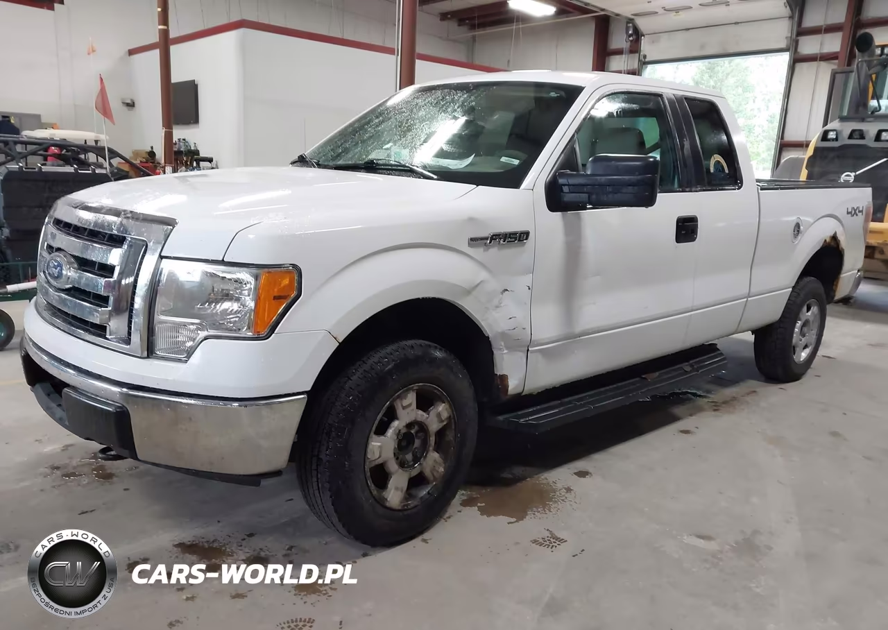 2010 Ford F-150 Stx-Xl-Xlt VIN:1FTEX1E83AKE78103 - 2
