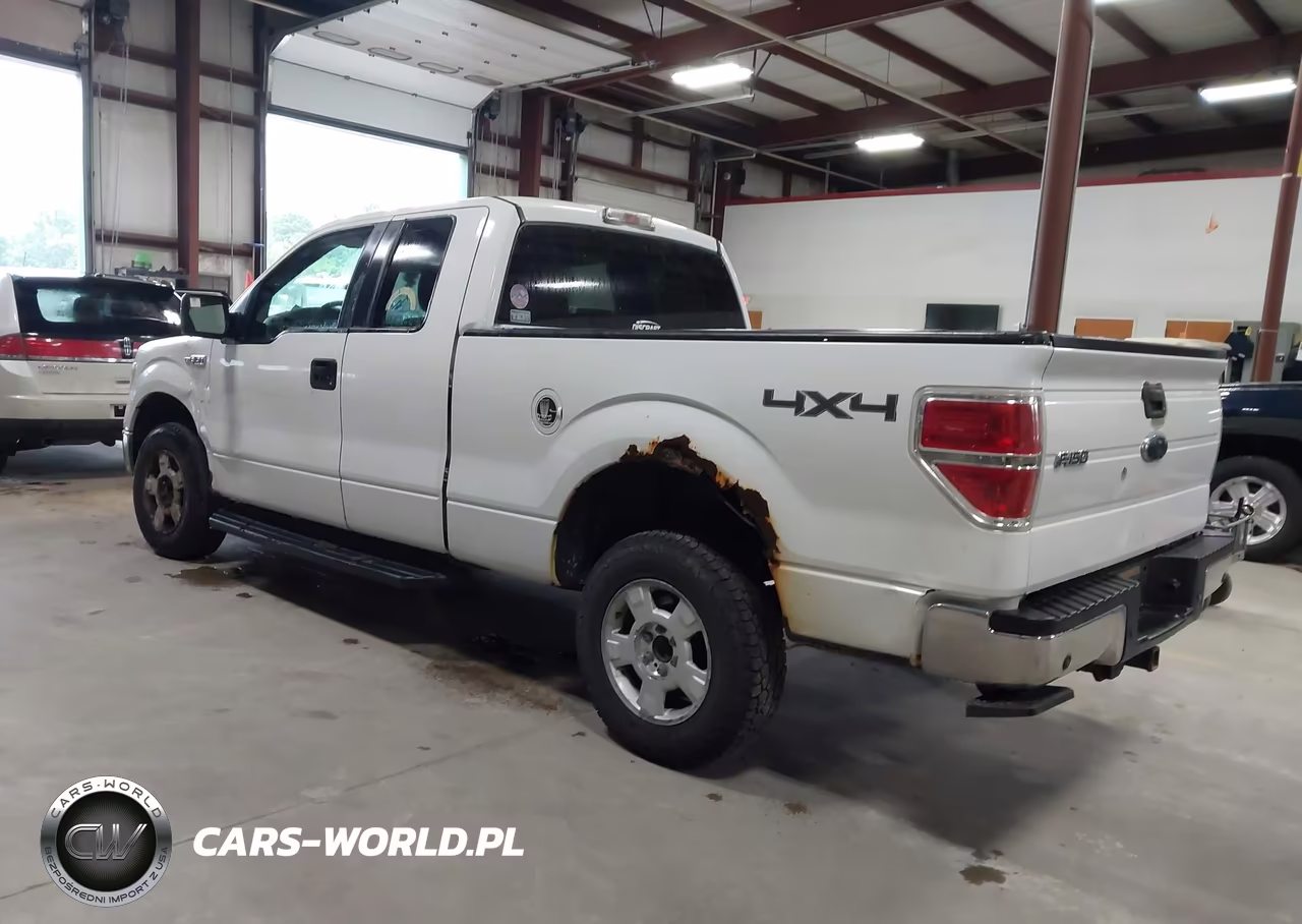 2010 Ford F-150 Stx-Xl-Xlt VIN:1FTEX1E83AKE78103 - 3
