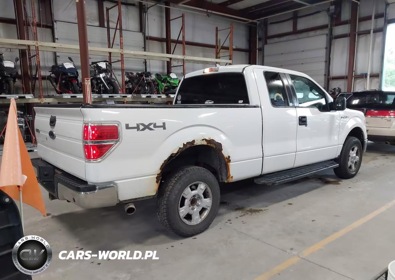 2010 Ford F-150 Stx-Xl-Xlt VIN:1FTEX1E83AKE78103 - 4