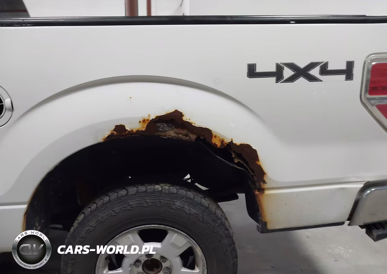 2010 Ford F-150 Stx-Xl-Xlt VIN:1FTEX1E83AKE78103 - 6