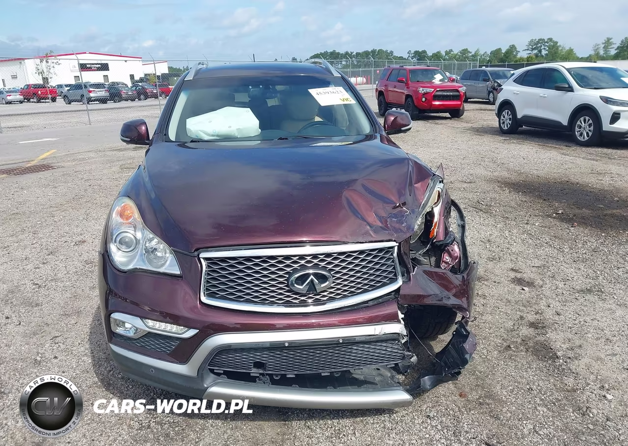 2017 Infiniti Qx50 VIN:JN1BJ0RR1HM416511 - 12