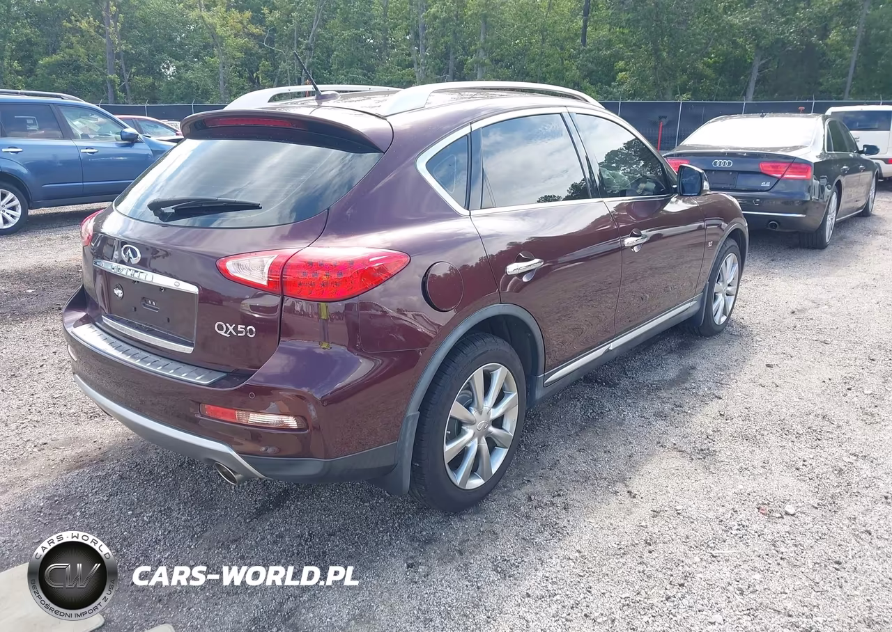 2017 Infiniti Qx50 VIN:JN1BJ0RR1HM416511 - 4