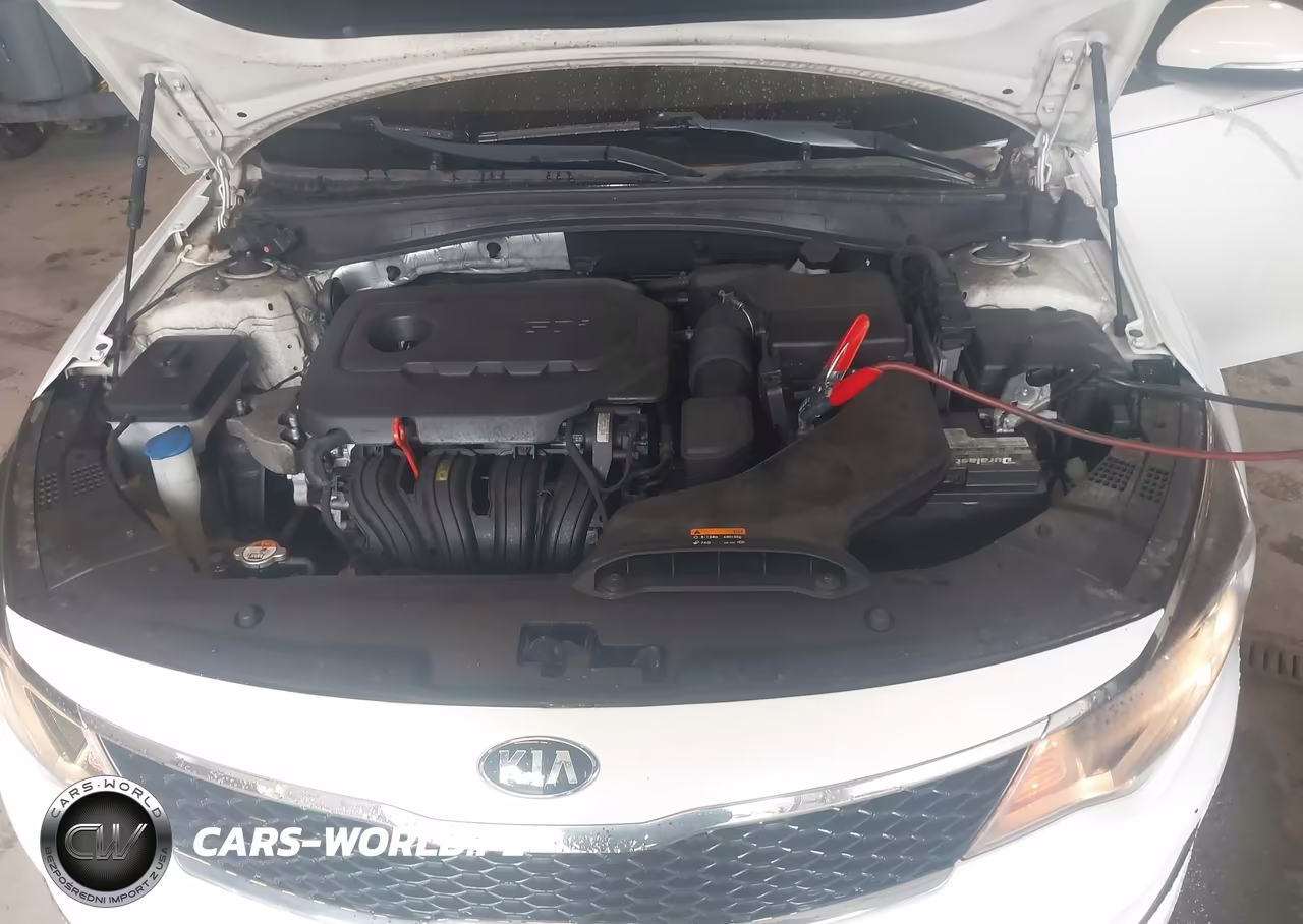 2016 Kia Optima Lx VIN:KNAGT4L39G5116133 - 10