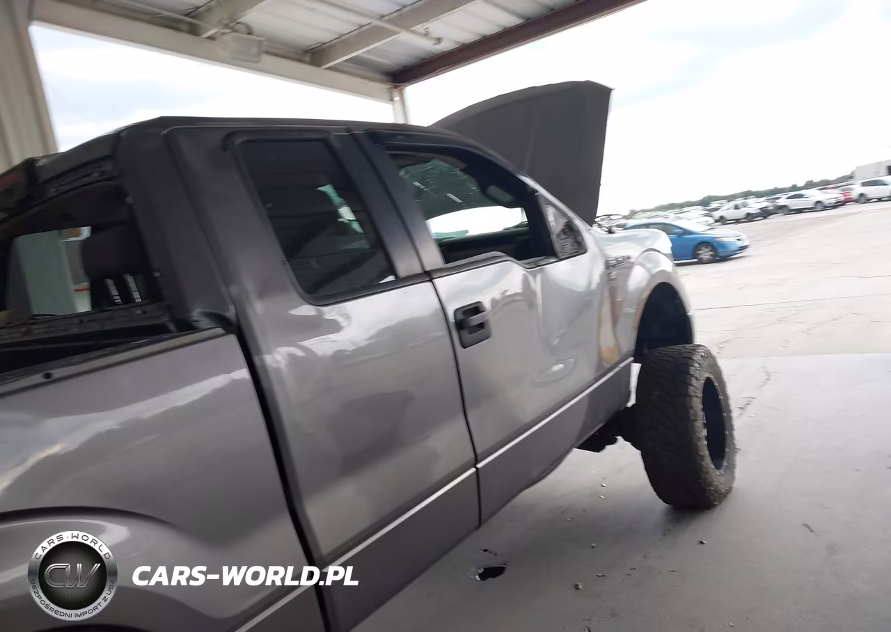 2009 Ford F-150 Stx-Xl VIN:1FTRX12W59FB08280 - 12