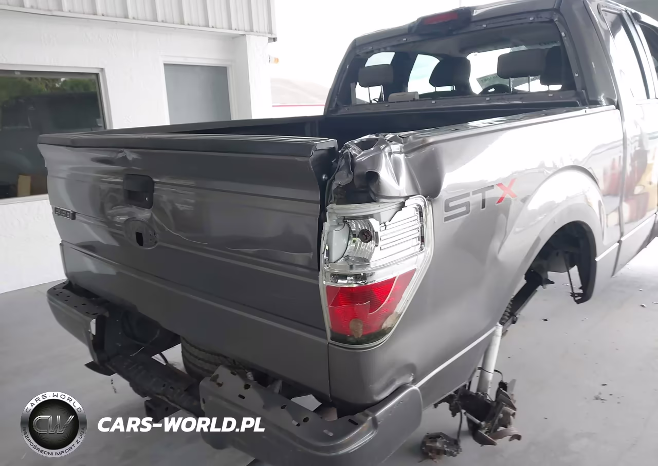 2009 Ford F-150 Stx-Xl VIN:1FTRX12W59FB08280 - 13