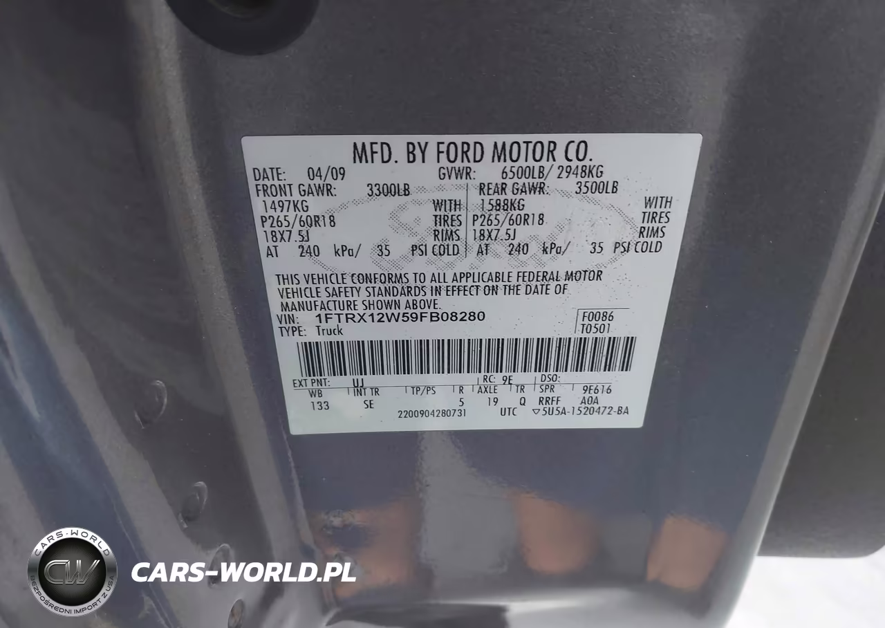 2009 Ford F-150 Stx-Xl VIN:1FTRX12W59FB08280 - 9
