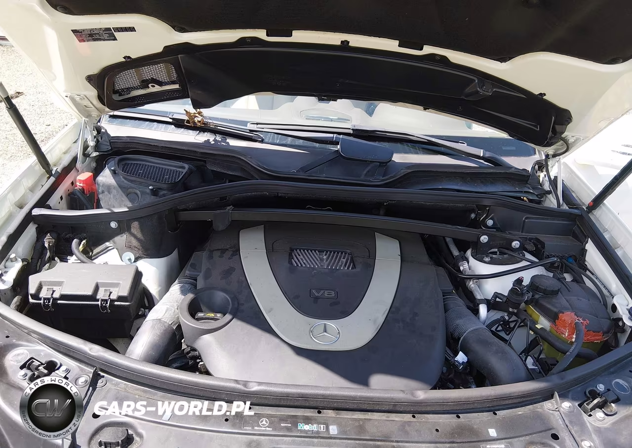 2011 Mercedes-Benz Gl 450 4Matic VIN:4JGBF7BE9BA642332 - 10