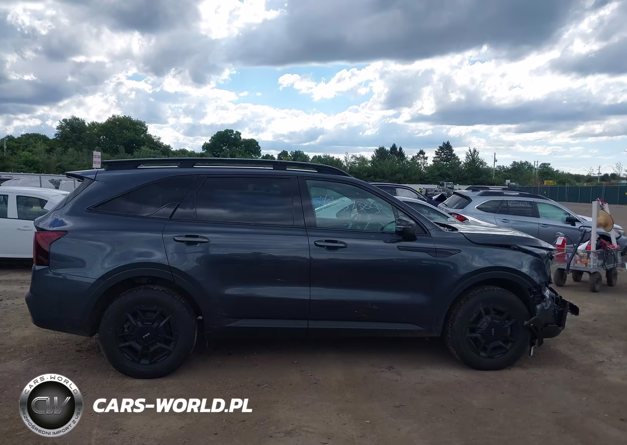 2024 Kia Sorento Sx-X-Line Sx Prestige-X-Pro Sx Prestige VIN:5XYRKDJF9RG257564 - 13