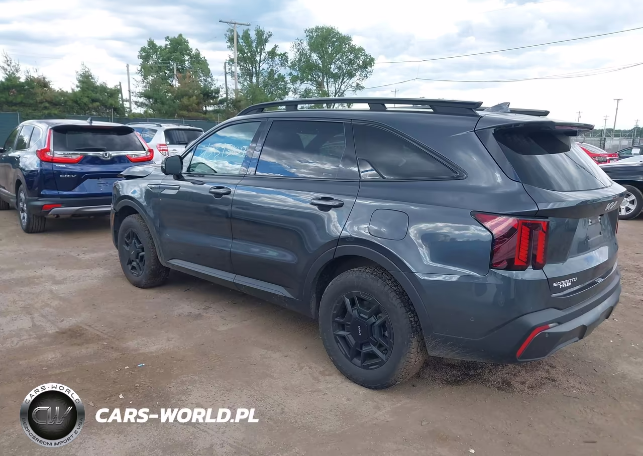 2024 Kia Sorento Sx-X-Line Sx Prestige-X-Pro Sx Prestige VIN:5XYRKDJF9RG257564 - 3
