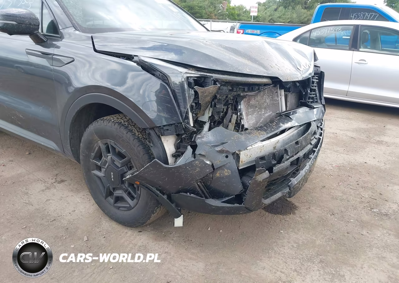 2024 Kia Sorento Sx-X-Line Sx Prestige-X-Pro Sx Prestige VIN:5XYRKDJF9RG257564 - 6