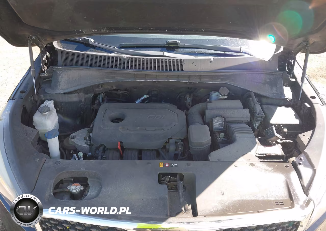 2017 Kia Sorento 2.4L L VIN:5XYPG4A37HG281925 - 10
