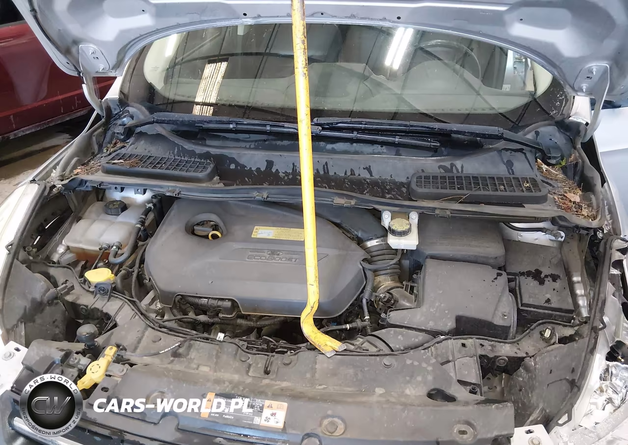 2014 Ford Escape Se VIN:1FMCU9GX9EUC66766 - 10