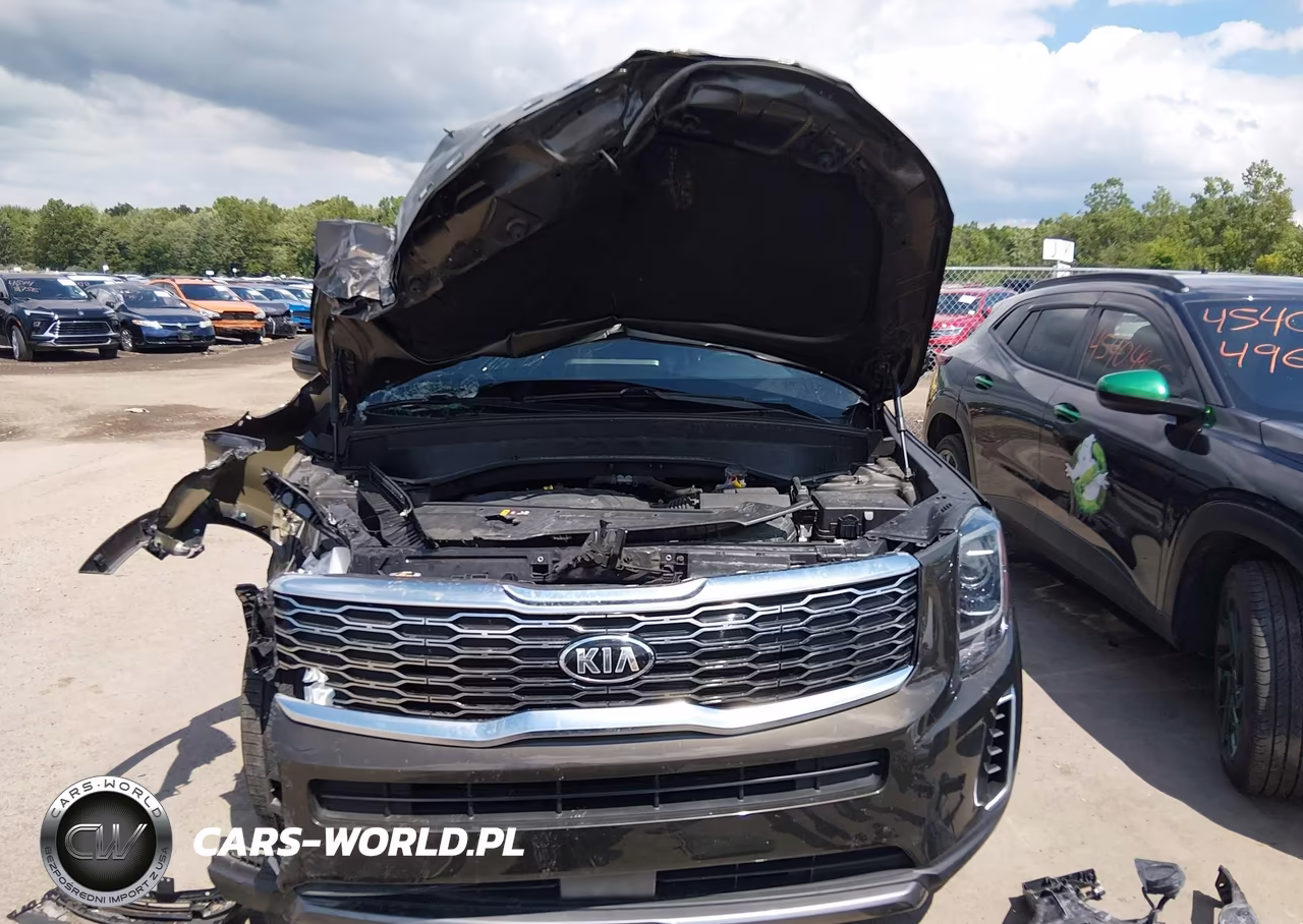 2020 Kia Telluride Ex VIN:5XYP3DHC1LG057561 - 12