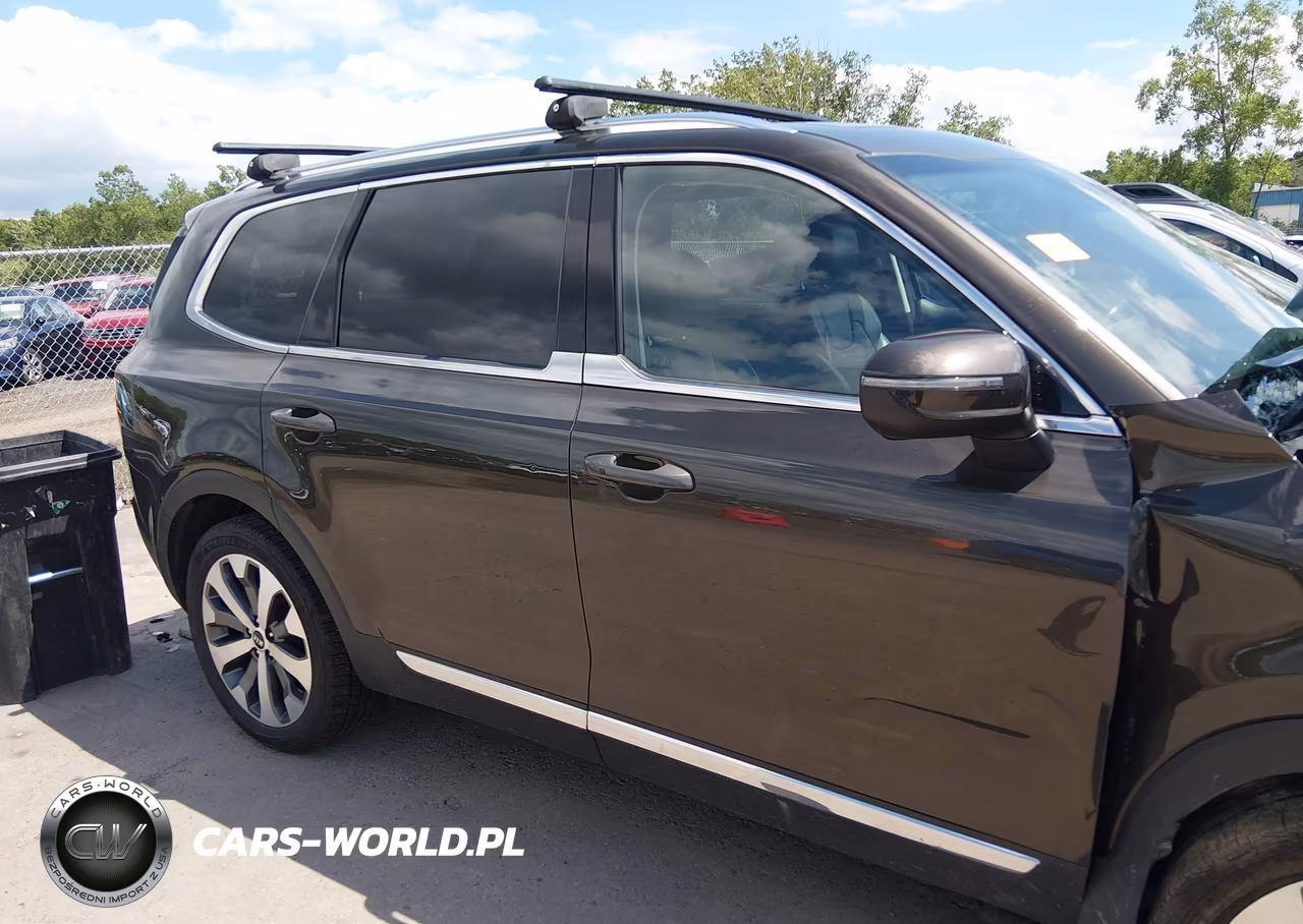 2020 Kia Telluride Ex VIN:5XYP3DHC1LG057561 - 13